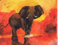 Bull Elephant Sunrise 08 2003 Sophia Ehrlich