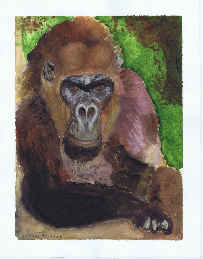 Gorilla Watercolor Painting, 02-25-2004 by Sophia Ehrlich