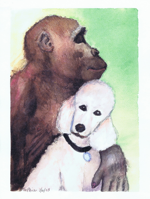 Chimp Holding Harry 07-11-03, Watercolor Painting by Sophia Ehrlich