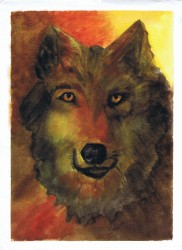 Wolf, Watercolor painting by Sophia Ehrlich