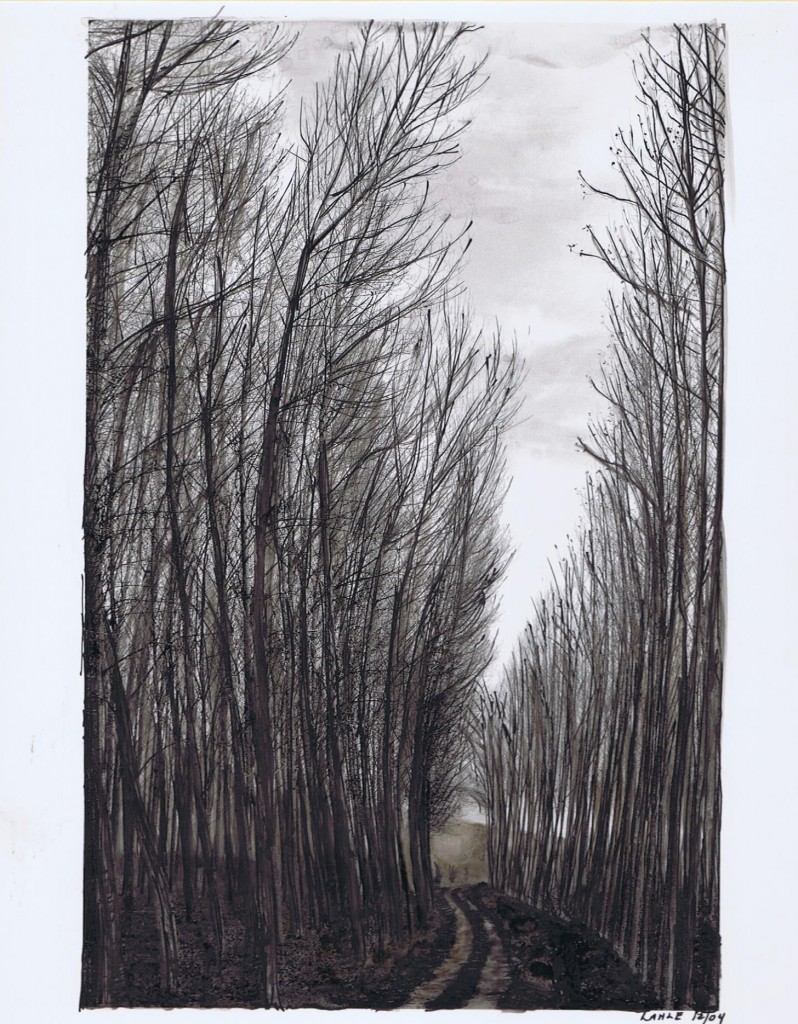 Birch Trees, Marker and Sepia India Ink. By Lahle Wolfe