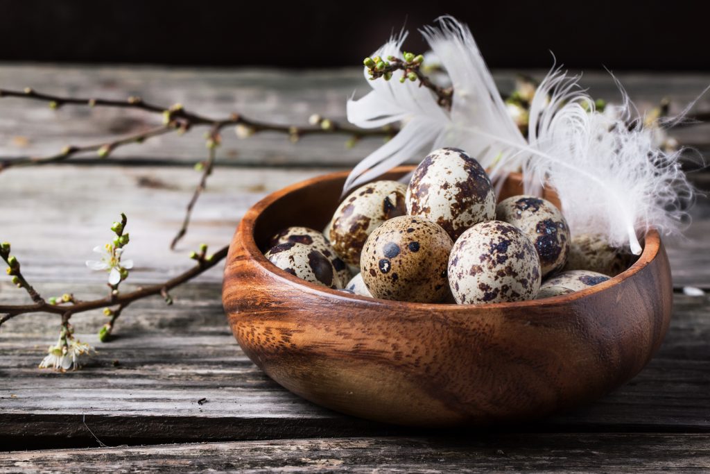 Bowl of quail eggs with blossom branch
