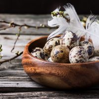 Bowl of quail eggs with blossom branch