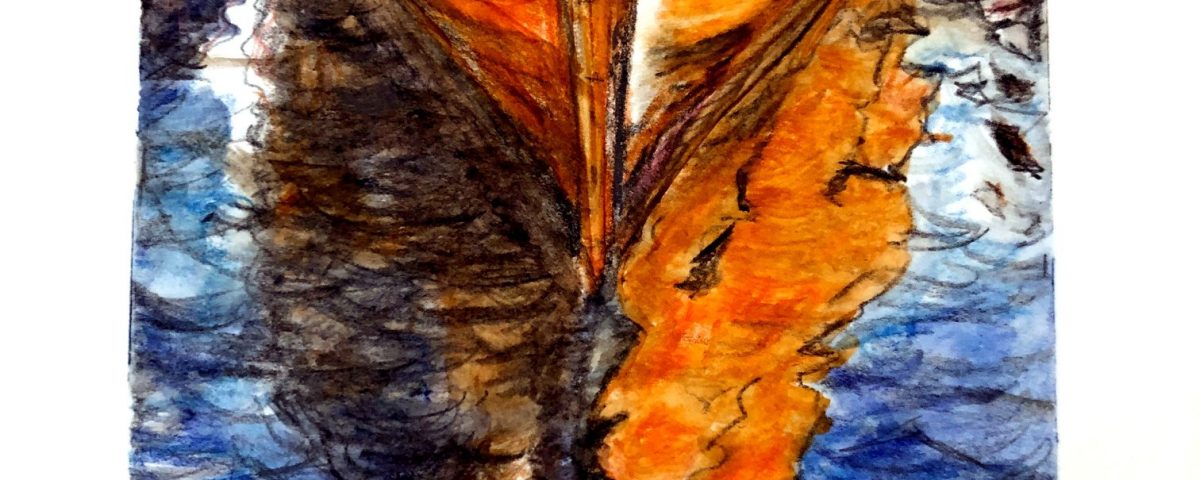 My daughter and I are learning watercolors together. I like to hide things in my paintings and there are two hidden fish in this one. Source: From photo by Hans J. Hansen. Creative Commons License.