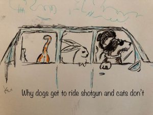 Cartoon - Why dogs ride shotgun and cats don't