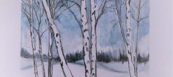 Birch Trees in Winter