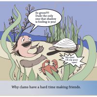 Clam Flasher