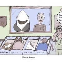 Shark Karma