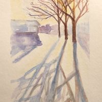 Pinterest Tries - Winter Sunlight Through Trees
